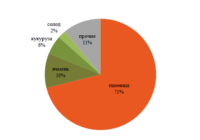Перевозки зерна в январе изо