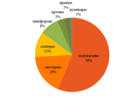 Перевозки по сети РЖД 9 изо