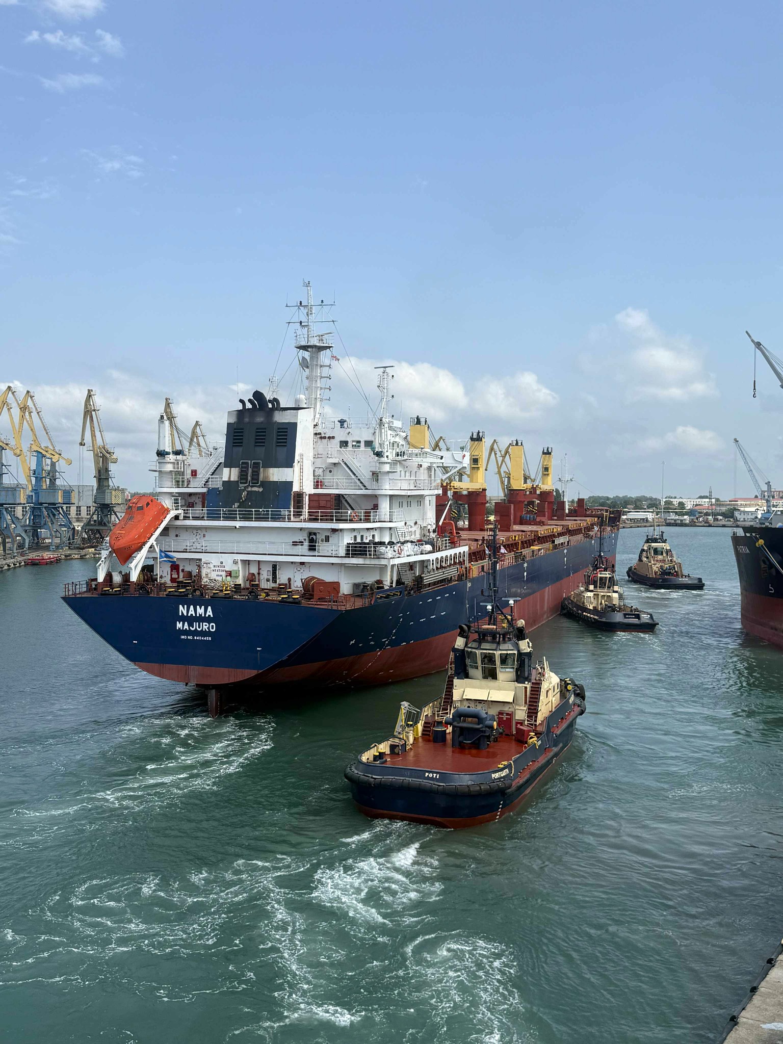 APM Terminals Poti 8 мес.