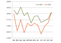 Перевозки нефтеналивных грузов в декабре превью