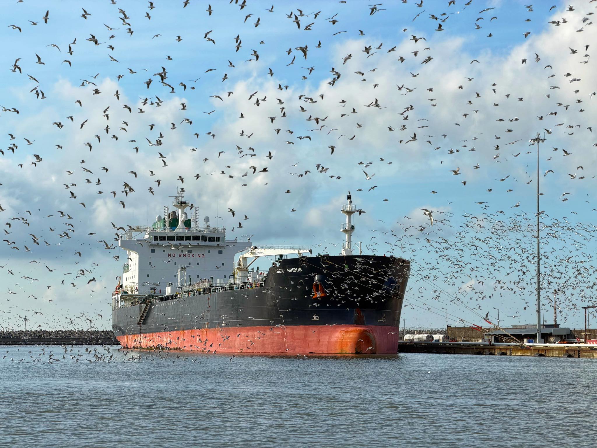 Поти принял крупную партию бензина ExxonMobil