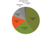 Реализация ПС в январе превью