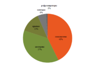 Регистрация ПС в январе превью